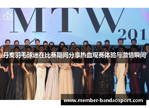 丹麦羽毛球迷在比赛期间分享热血观赛体验与激情瞬间