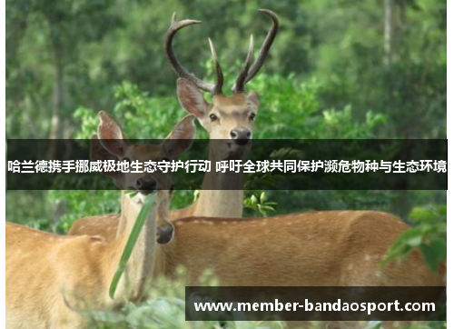 哈兰德携手挪威极地生态守护行动 呼吁全球共同保护濒危物种与生态环境 哈兰德携手挪威极地生态守护行动 呼吁全球共同保护濒危物种与生态环境