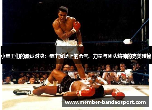 小拳王们的激烈对决：拳击赛场上的勇气、力量与团队精神的完美碰撞