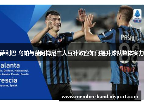萨利巴 乌帕与楚阿梅尼三人互补效应如何提升球队整体实力