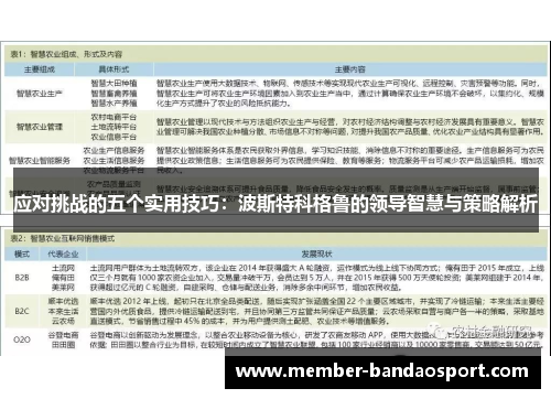 应对挑战的五个实用技巧：波斯特科格鲁的领导智慧与策略解析