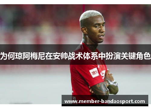 为何琼阿梅尼在安帅战术体系中扮演关键角色