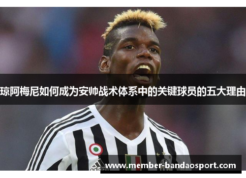 琼阿梅尼如何成为安帅战术体系中的关键球员的五大理由