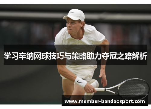学习辛纳网球技巧与策略助力夺冠之路解析