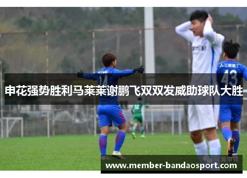 申花强势胜利马莱莱谢鹏飞双双发威助球队大胜 申花强势胜利马莱莱谢鹏飞双双发威助球队大胜