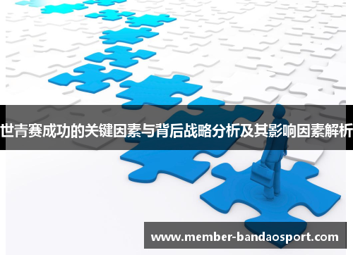 世青赛成功的关键因素与背后战略分析及其影响因素解析