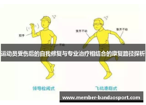 运动员受伤后的自我修复与专业治疗相结合的康复路径探析