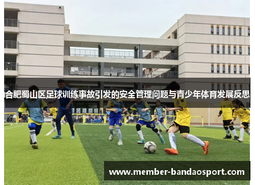 合肥蜀山区足球训练事故引发的安全管理问题与青少年体育发展反思