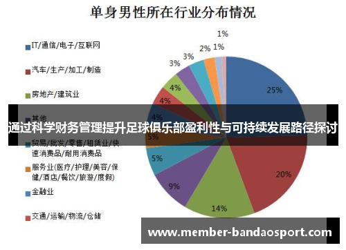 通过科学财务管理提升足球俱乐部盈利性与可持续发展路径探讨