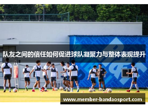 队友之间的信任如何促进球队凝聚力与整体表现提升