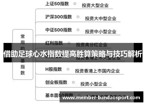 借助足球心水指数提高胜算策略与技巧解析