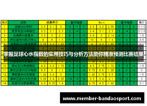 掌握足球心水指数的实用技巧与分析方法助你精准预测比赛结果