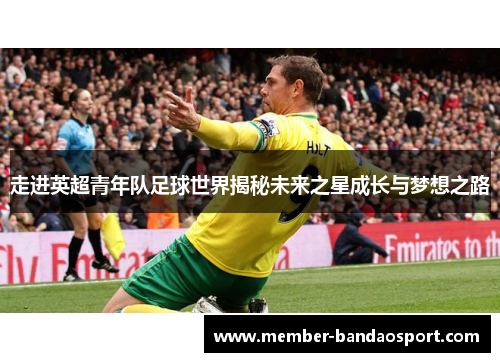 走进英超青年队足球世界揭秘未来之星成长与梦想之路 走进英超青年队足球世界揭秘未来之星成长与梦想之路