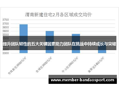 提升团队韧性的五大关键因素助力团队在挑战中持续成长与突破 提升团队韧性的五大关键因素助力团队在挑战中持续成长与突破