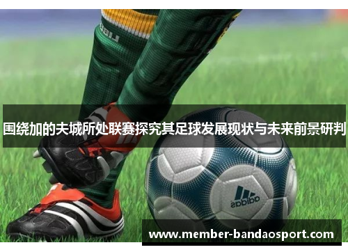 围绕加的夫城所处联赛探究其足球发展现状与未来前景研判