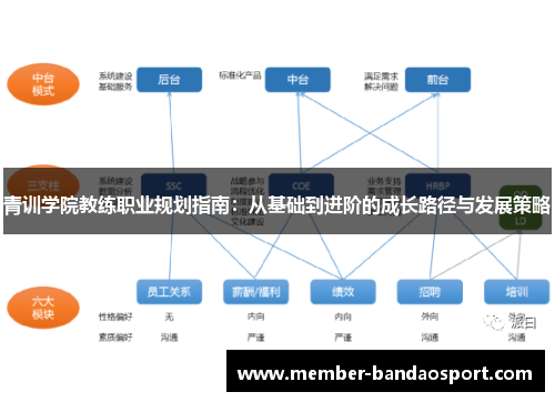 青训学院教练职业规划指南:从基础到进阶的成长路径与发展策略 青训学院教练职业规划指南:从基础到进阶的成长路径与发展策略