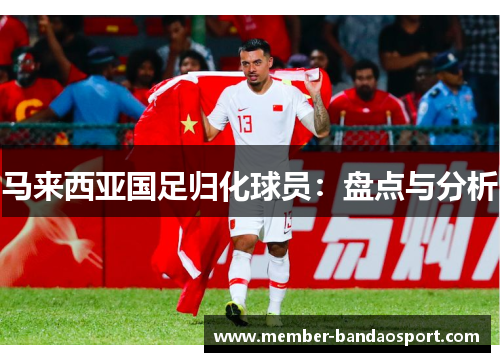 马来西亚国足归化球员:盘点与分析 马来西亚国足归化球员:盘点与分析